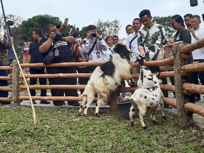Revitalisasi Solo Safari Tahap II Dimulai, Gibran Jamin Tak Ganggu Pengunjung