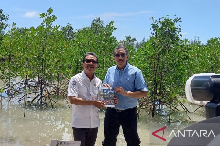 Bangka Belitung jadi Pusat Riset Mangrove Dunia
