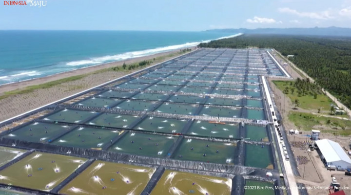 Resmikan Tambak Budi Daya Udang Seluas 60 Hektare di Kebumen, Ini Harapan Jokowi