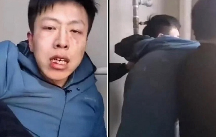 Siksa Kucing Hingga Tewas, Pria di Tiongkok Dipaksa Makan Kotoran