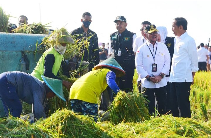 Potret Jokowi Panen Raya di Kabupaten Ngawi