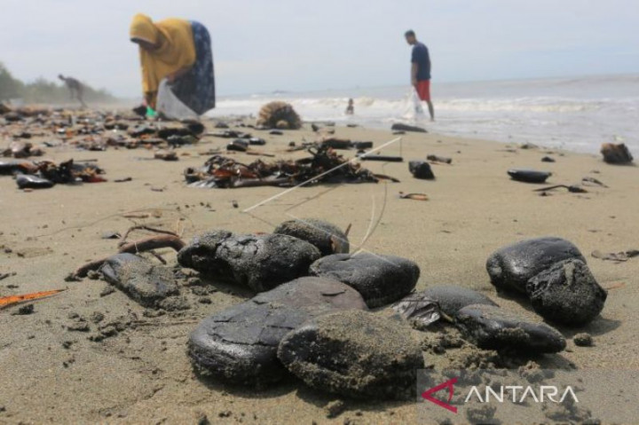 5 Ton Batu Bara Tumpah di Pesisir Meureubo Aceh