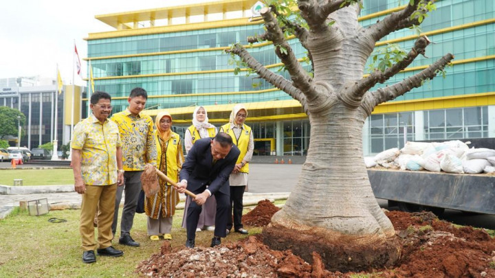 Ramai-ramai Sejukkan Kantor DPP Partai Golkar, Sachrudin-Airin Tanam Pohon Baobab