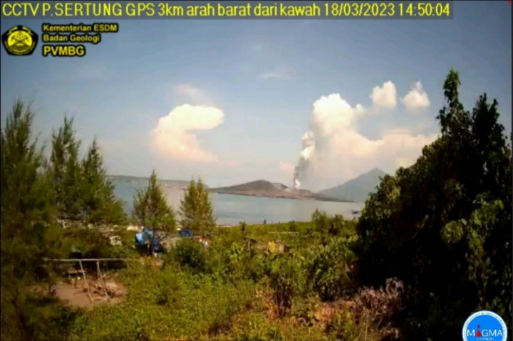 Gunung Anak Krakatau Erupsi Setinggi 500 Meter