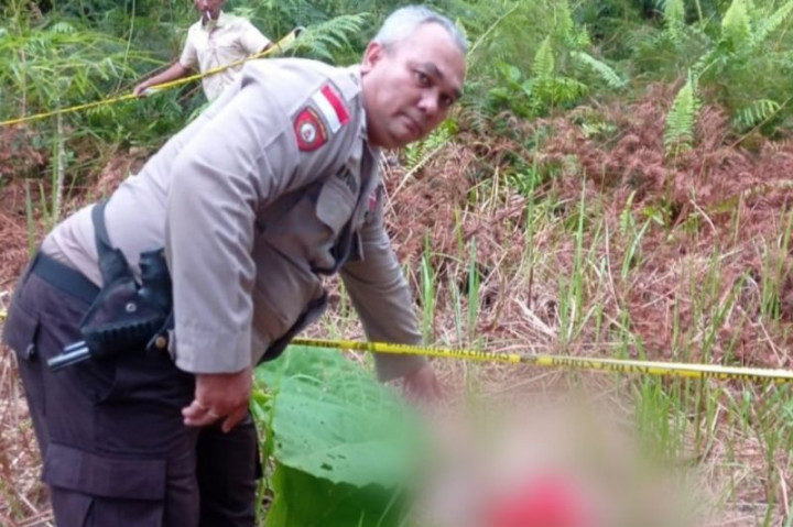 Warga Digegerkan Potongan Mayat Bayi di Kapuas Hulu