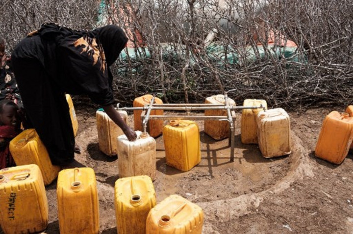 Miris! Kekeringan di Somalia Tewaskan 43.000 Orang, Termasuk 20.000 Anak-Anak