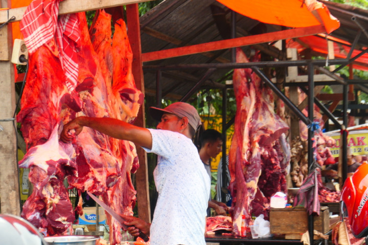 Ketersediaan Daging Sapi di Aceh Mencukupi Jelang Ramadan
