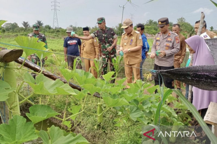 Warga Aceh Barat Manfaatkan Lahan untuk Kedaulatan Pangan
