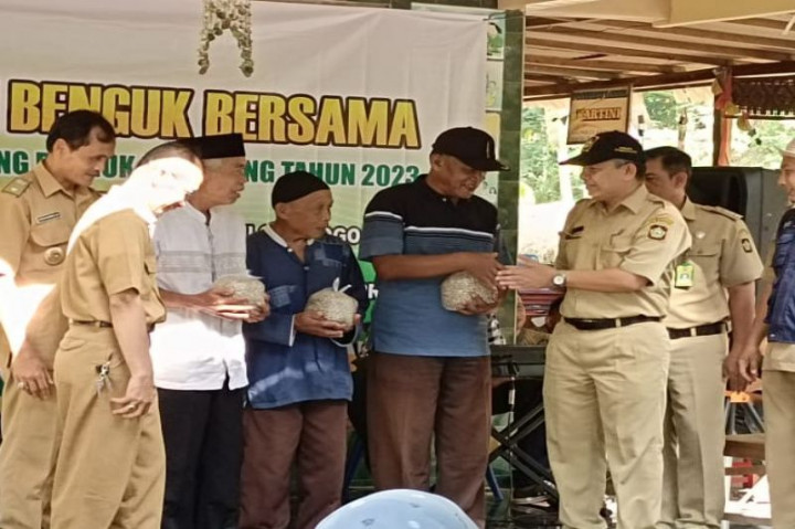 Dinas Pertanian Kulon Progo Salurkan Bibit Koro Benguk