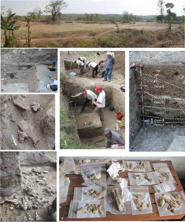 Peneliti ITB Ungkap Sejarah Tempat Peristirahatan Terakhir Manusia Purba di Ngandong