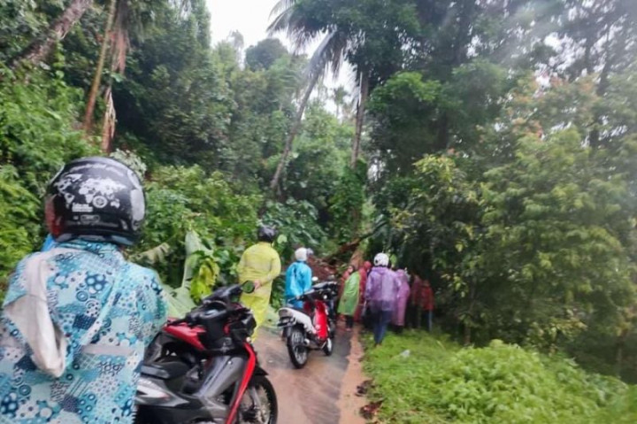 6 Kecamatan di Agam Sumbar Dilanda Banjir dan Longsor
