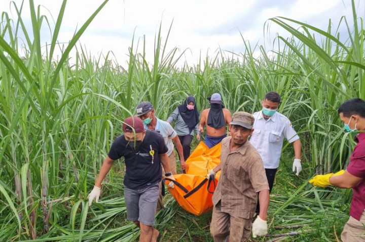 Diduga usai Melahirkan, Ibu dan Bayi di Kediri Ditemukan Tewas di Kebun Tebu