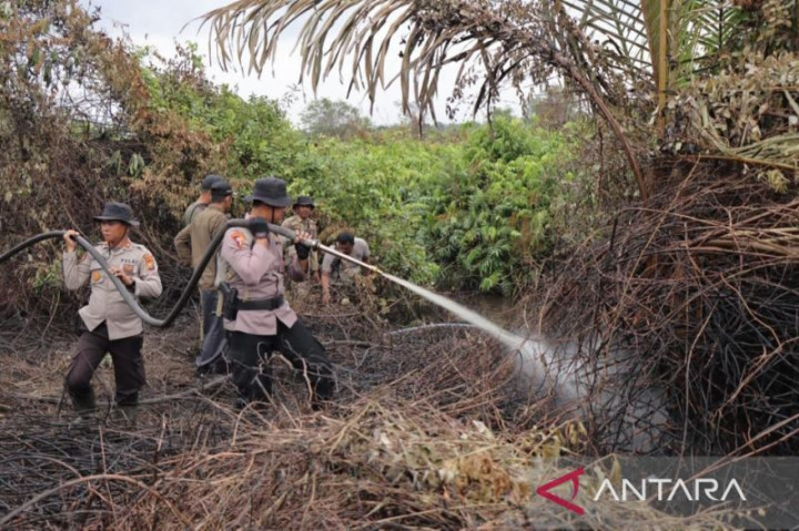 Tim Gabungan Padamkan Lahan Terbakar di Kepulauan Meranti