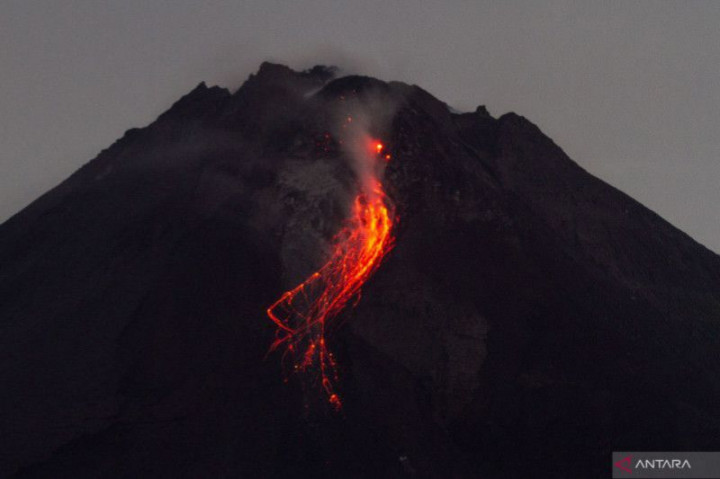 Merapi 7 Kali Luncurkan Guguran Lava Pijar
