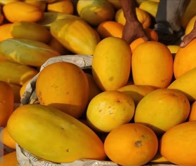 Jadi Favorit Saat Ramadan, Ketahui 5 Manfaat Timun Suri Bagi Kesehatan Tubuh