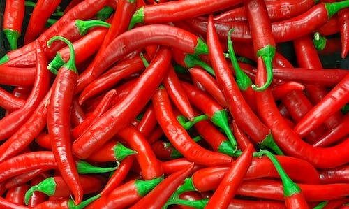 4 Cara Menanam Cabai dari Biji, Mudah Dilakukan di Rumah