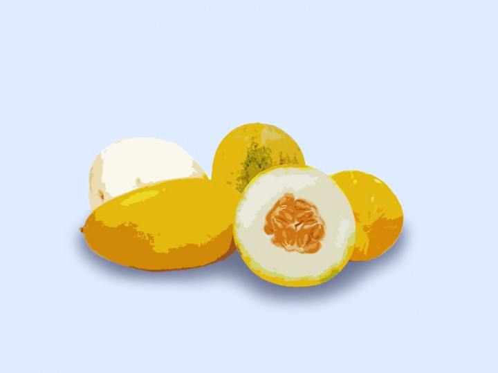 5 Manfaat Timun Suri untuk Kesehatan