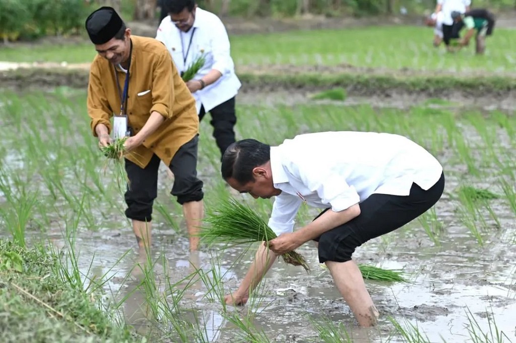 Presiden: Impor Beras Perkuat Cadangan Bulog Hadapi Musim Kering