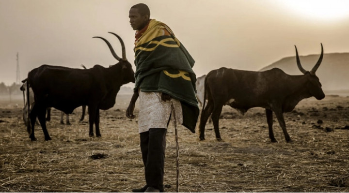 Sadis! 46 Orang di Nigeria Tewas Diserang Kelompok Bersenjata