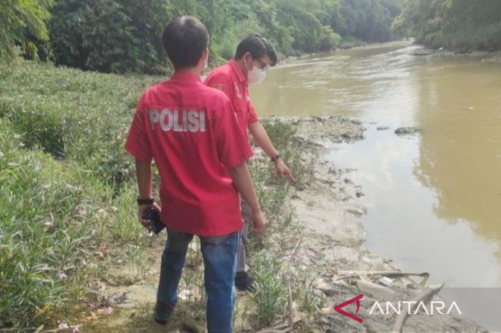 Polisi Selidiki Kematian Ribuan Ikan di Sungai Cileungsi