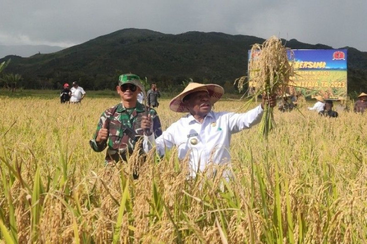 Warga Jayawijaya Didorong Jaga Ketahanan Pangan dengan Mengelola Sawah