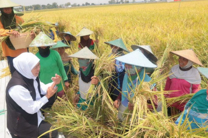 Khofifah Sebut Kenaikan Nilai Tukar Petani Mampu Dipertahankan