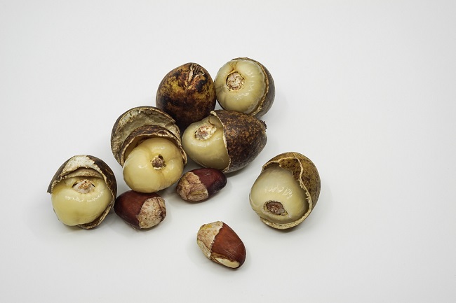 Buah matoa memiliki banyak manfaat untuk kesehatan, foto: alodokter