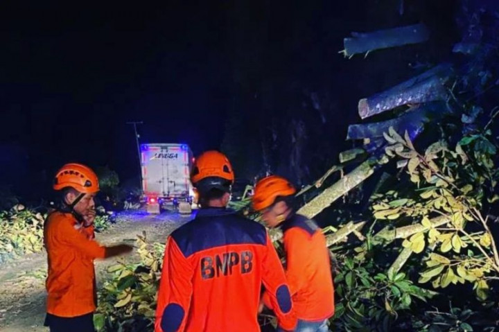 Akses Jalan Sumbar-Riau Sudah Bisa Dilewati usai Tertutup Longsor