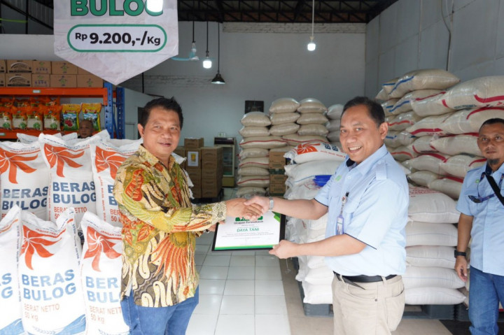 Here's How Food Stations Strengthen Food Security in Communities