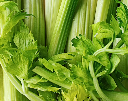 Terkenal sebagai Makanan Diet Rendah Kalori, Inilah 5 Manfaat Seledri untuk Kesehatan