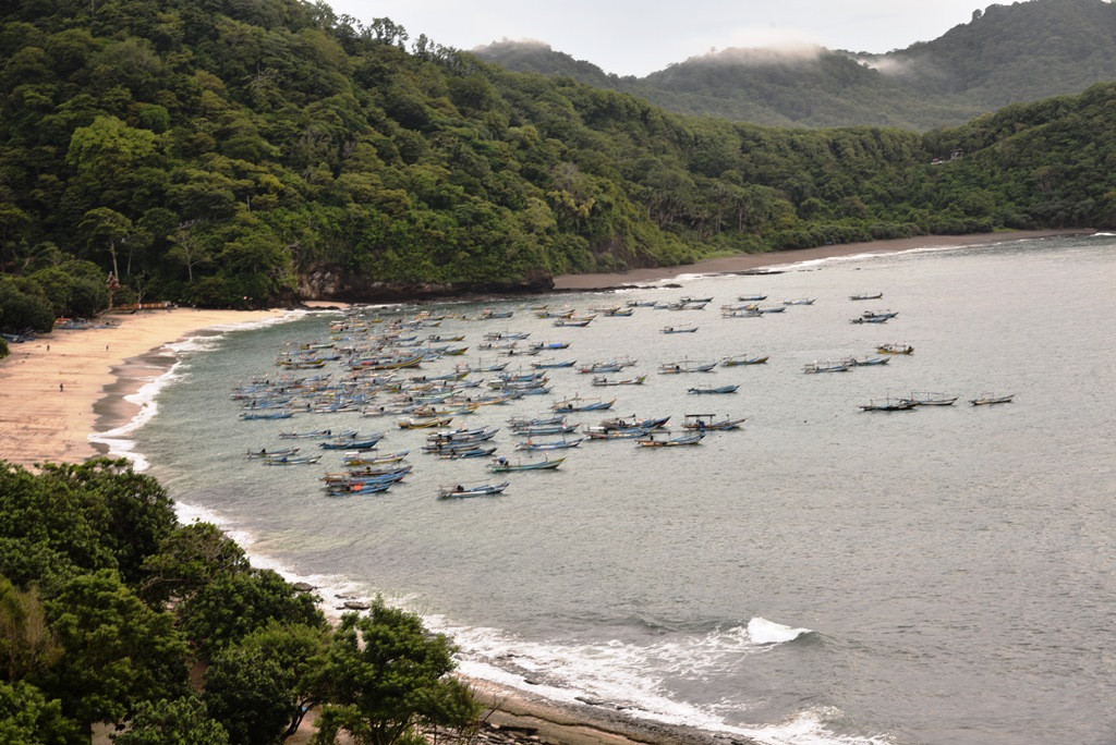 Tanjung Pantai Papuma (Dok. Medcom)