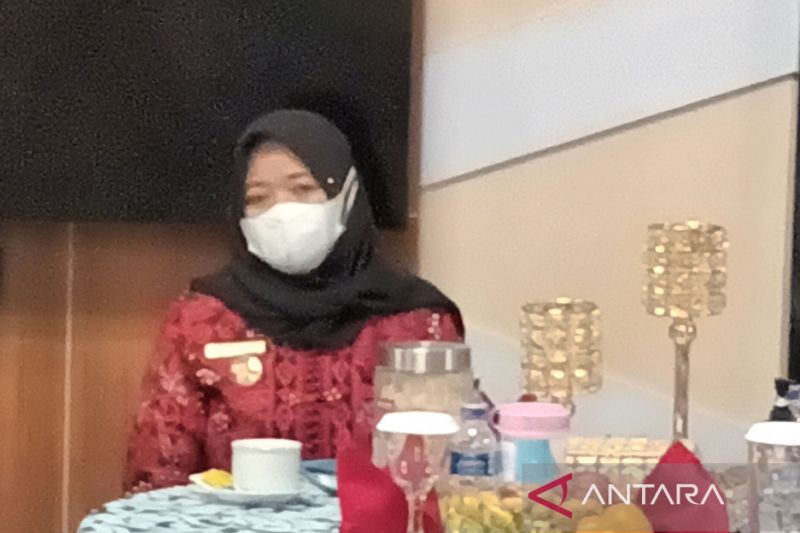 Bupati Sleman Kustini Sri Purnomo. ANTARA/Victorianus Sat Pranyoto