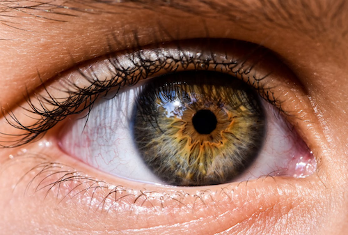 Ilustrasi. Foto: Pexels