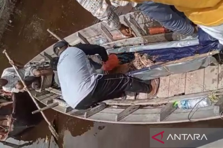 Warga Meranti Riau Tewas Diterkam Buaya