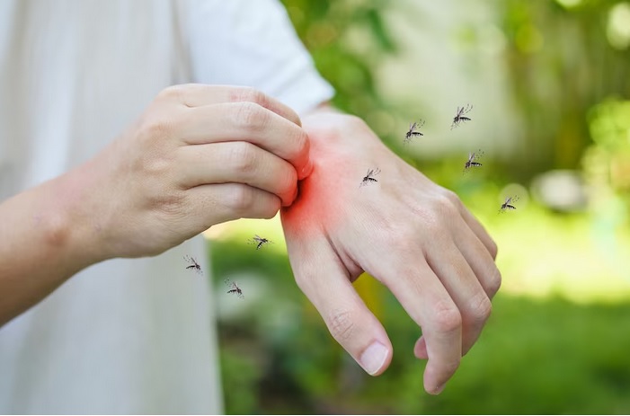 Ini 3 Cara Pengendalian Vektor untuk Terhindar dari Penyakit Malaria