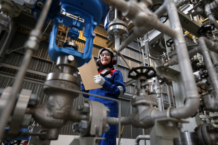 Laba Subholding Pertamina Moncer Berkat Strategi Keberlanjutan, Apa Itu?