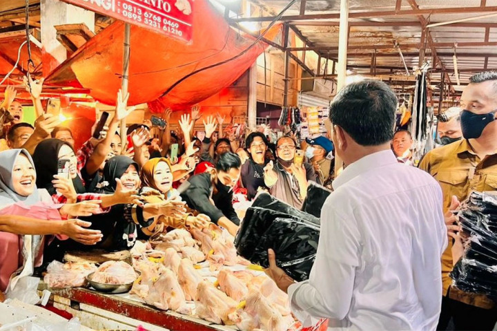 Jokowi: Harga Pangan di Pasar Natar Lampung Masih Terkendali