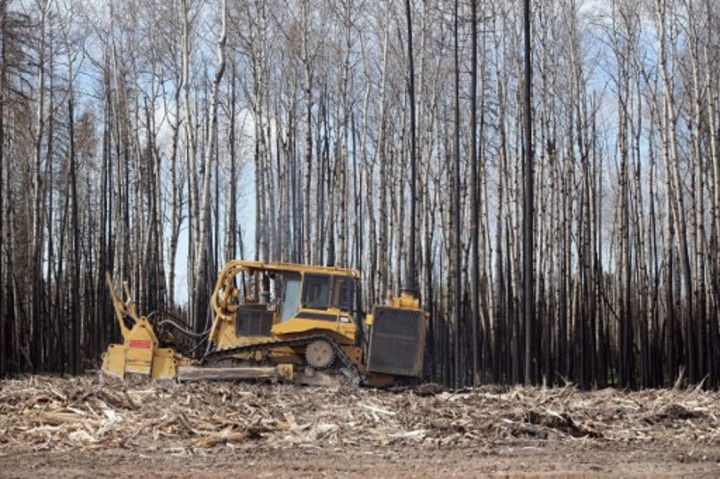 Populer Internasional: Darurat Kebakaran Hutan Kanada hingga Serangan Balik Ukraina