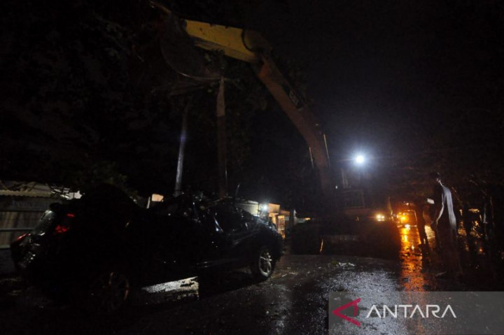 2 Warga Bengkulu Meninggal Tertimpa Pohon Tumbang