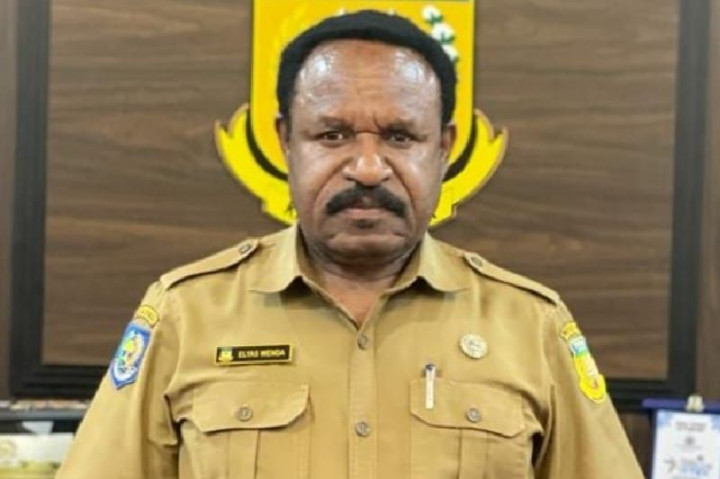 Papua Disebut Punya Potensi Tambang di 9 Kabupaten/Kota