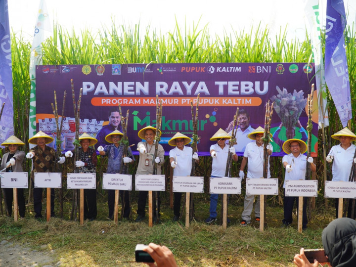 Mantap! Program <i>Agrosolution</i> Tingkatkan Produktivitas Tebu di Sleman