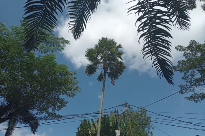 NTB Memasuki Musim Kemarau