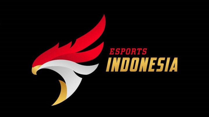 Timnas Esports Valorant Indonesia Tegas dan Junjung Tinggi Sportivitas