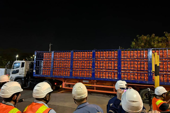 Sah! Indonesia Sukses Ekspor Perdana Ayam Hidup ke Singapura