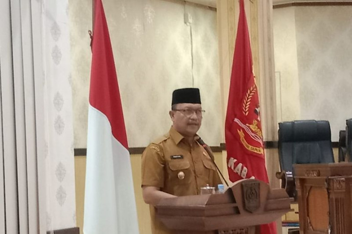 Wakil Bupati Agam Mundur