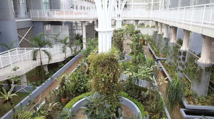 Kawasan Taman Anggrek di Kebun Raya Bogor Diresmikan