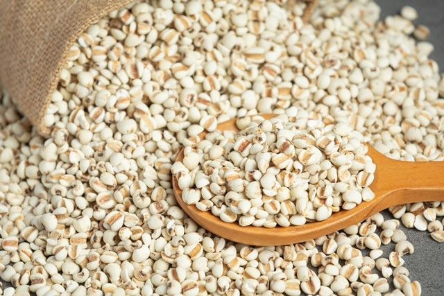 Sorgum, Alternatif Bahan Pangan bagi Pengidap Diabetes