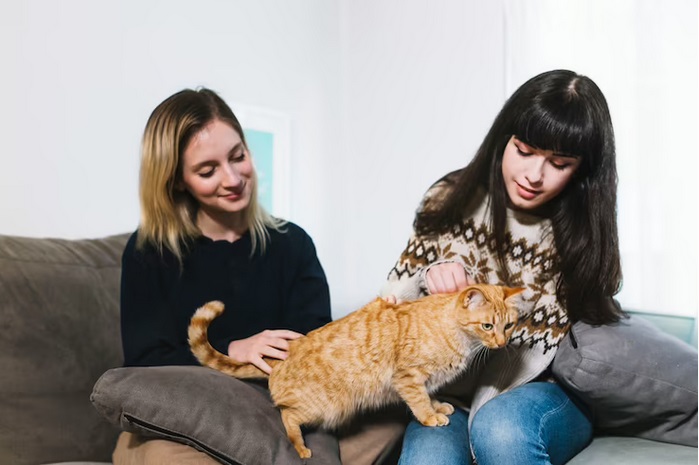 Kucing atau Anjing, Hewan yang Paling Banyak Dipelihara?