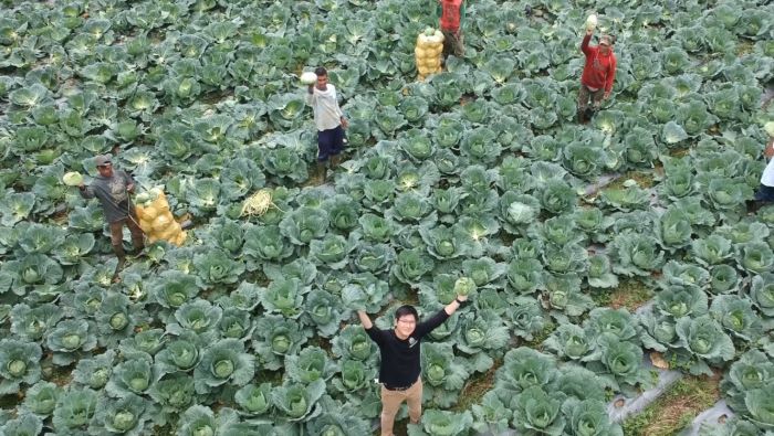 Pupuk Dinosaurus, Inovasi Mahasiswa UGM Penerima Beasiswa Teladan