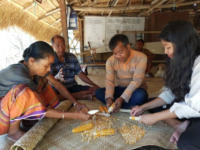 Kisah Widya Hasian Situmeang, Gandeng Generasi Z untuk Regenerasi Petani